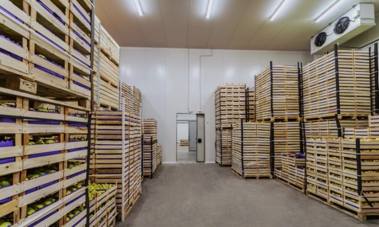 Warehouse Management
